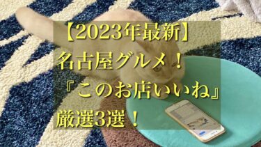 【2023年最新】名古屋グルメ！「このお店いいね」と感じた3選！