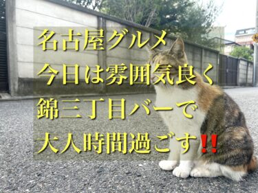 名古屋グルメ！！今日は、雰囲気良く錦3丁目バーで大人の時間を過ごす！！