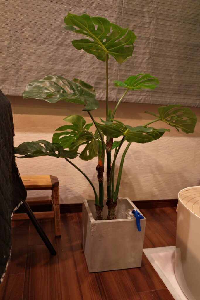 フェイク植物