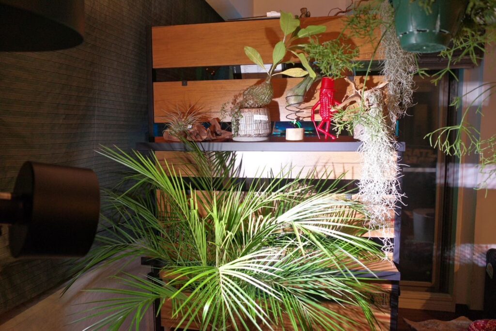 植栽棚